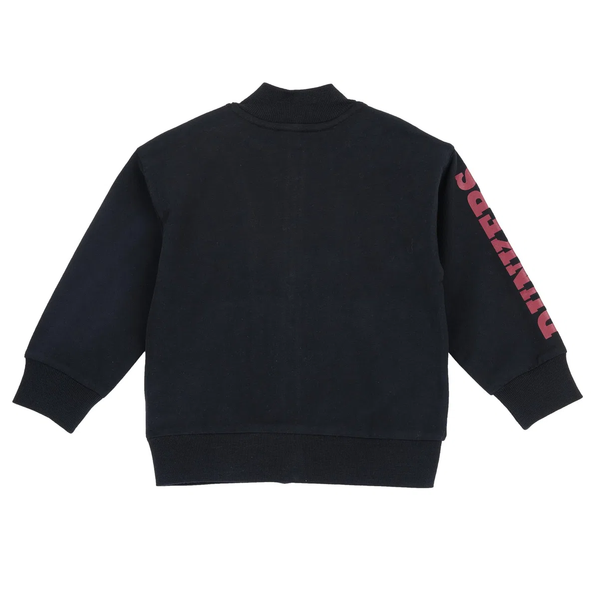 Chicco Felpa Bambini e Ragazzi in Morbido Tessuto Non Felpato con Pratica Chiusura a Zip FW25 253