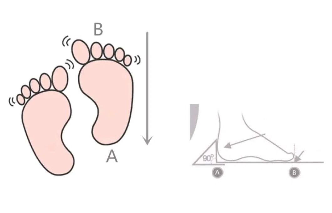 Scarpine in Pelle Prima infanzia - Pantofole Babucce - Neonato - Nido - Materne Danza - Primi Passi fino al 32/33! Verie Fantasie