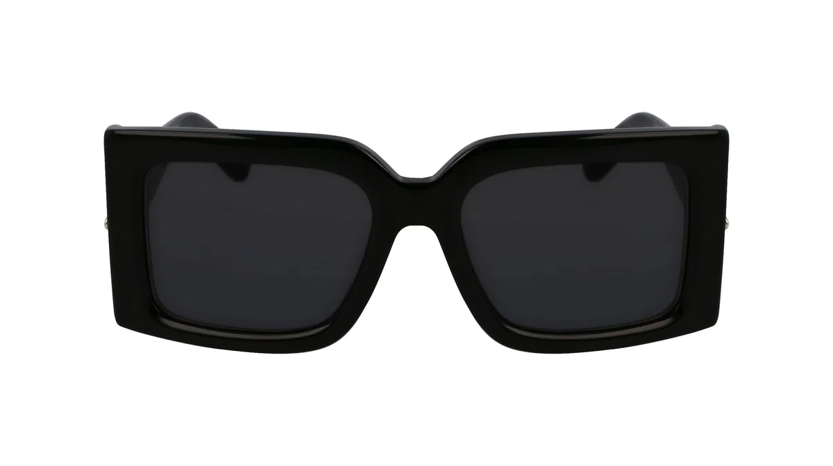 GAFAS FERRAGAMO - SF2032S C: BLACK/EYE SIZE: 55 BRIDGE: 19 HORIZONTAL MEASUREMENT: 55 VERTICAL MEASUREMENT: 42,8 Cura della persona e salute