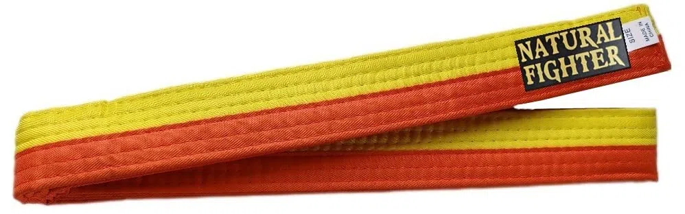 mmasport Cintura Karate Judo Aikido Taekwondo Belt per Arti Marziali in Cotone Basic (Gialla/Arancione, 240.00)