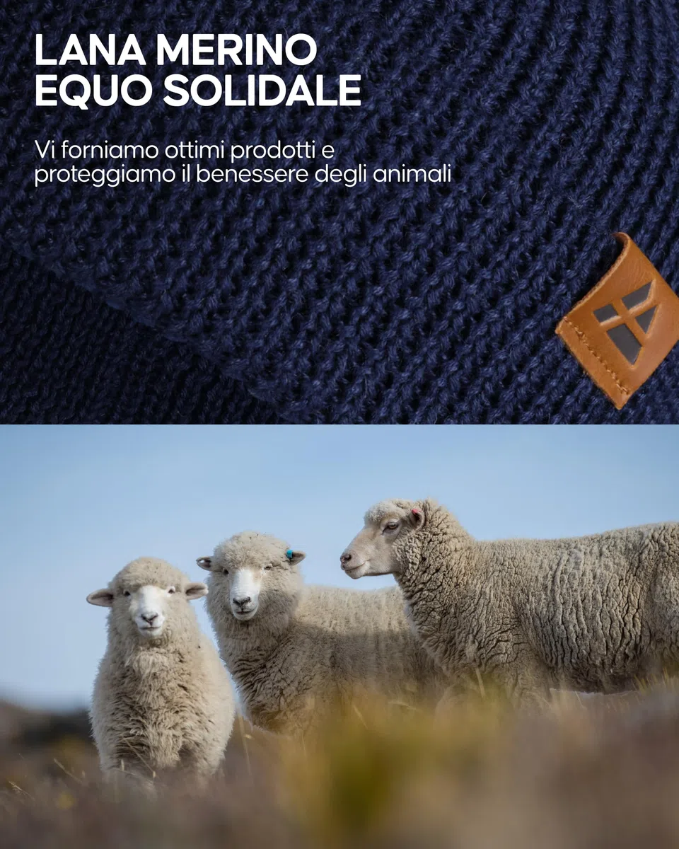 DANISH ENDURANCE Berretto Beanie in Lana Merino con Fodera in Pile, Berretto a Maglia, Berretto Invernale Uomo e Donna