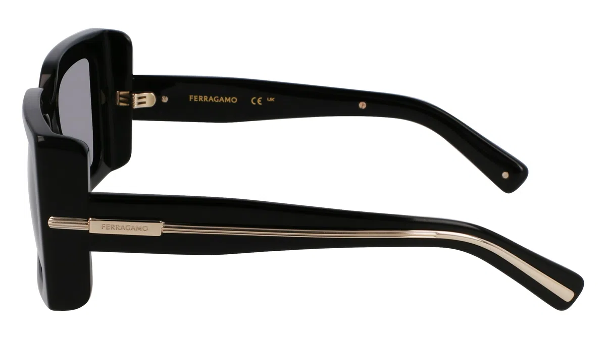 GAFAS FERRAGAMO - SF2032S C: BLACK/EYE SIZE: 55 BRIDGE: 19 HORIZONTAL MEASUREMENT: 55 VERTICAL MEASUREMENT: 42,8 Cura della persona e salute