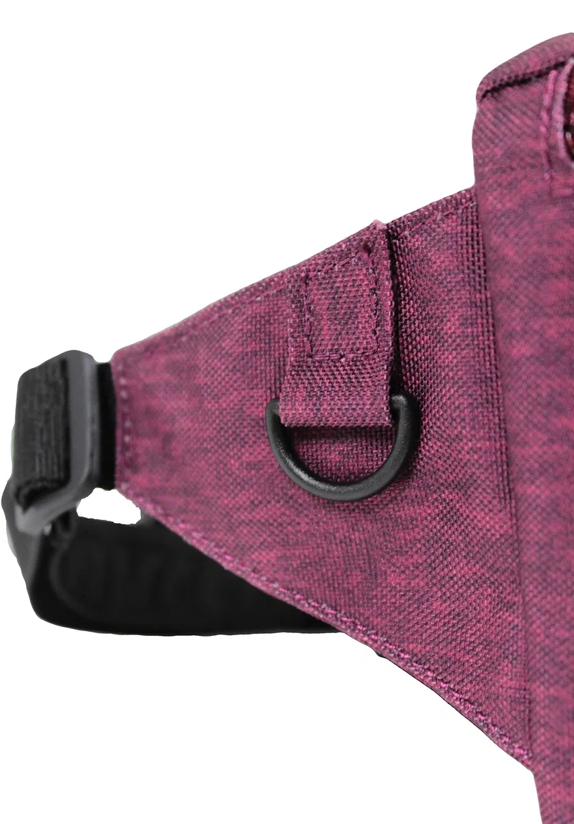 Invicta Marsupio 25 Solid, 25 cm, 2 Lt, Viola, Per ragazzi, Ragazze e adulti, Sport, Tempo libero, Viaggi