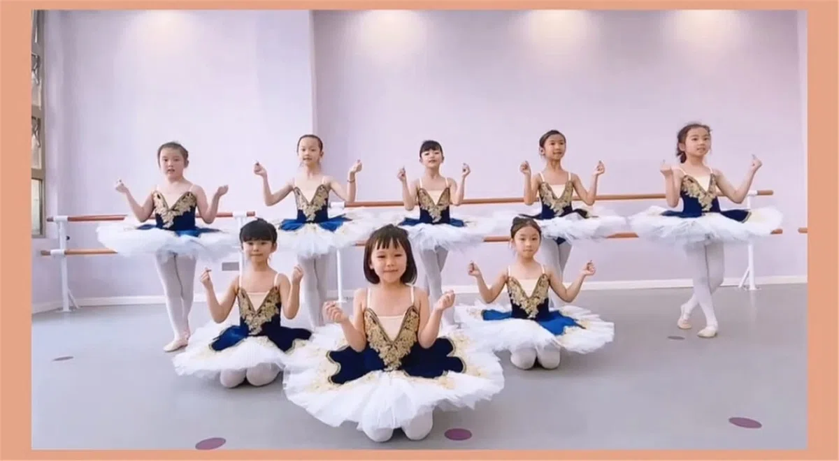 OTMYIGO Ragazza Tutu di Balletto Gonna Balletto per Bambini Costume da Lago dei cigni Costumi di Danza del Ventre Abito da Competizione per spettacoli teatrali